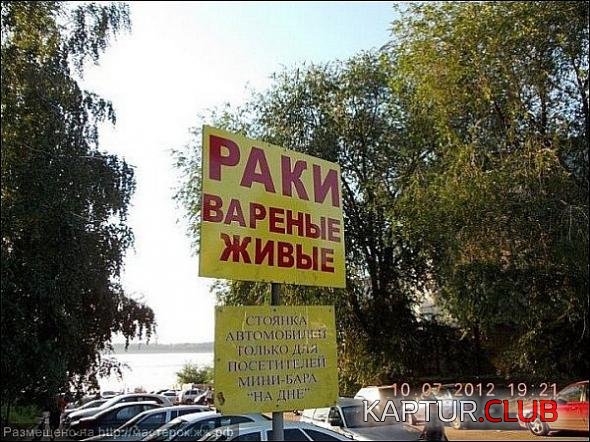 a4e93a6c874a6f170713ea098bd_prev.jpg | Рено Каптур Клуб Россия | Форум KAPTUR.SU