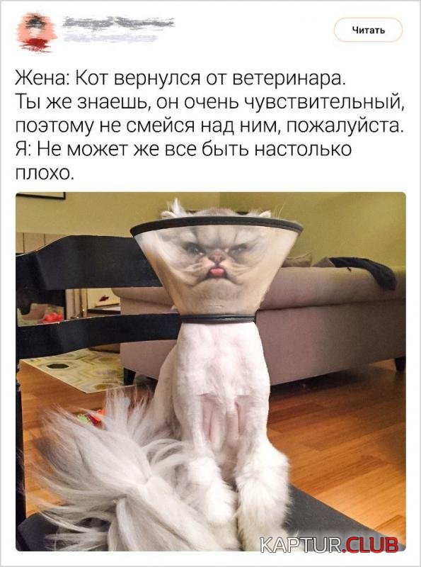 a589f15c2cfce872881cc8485ed_prev.jpg | Рено Каптур Клуб Россия | Форум KAPTUR.SU