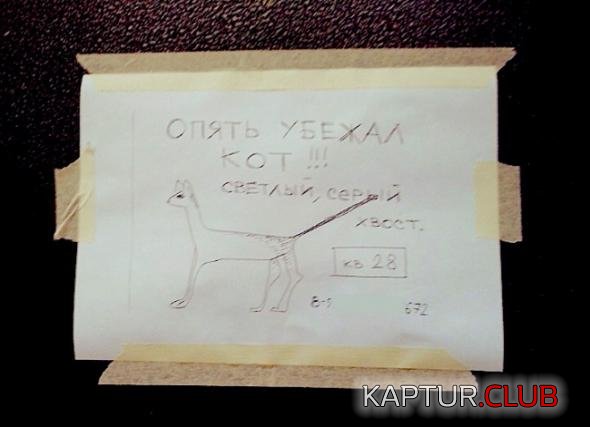 a58fc42f80f2ac774adfe2cccf2_prev.jpg | Рено Каптур Клуб Россия | Форум KAPTUR.SU
