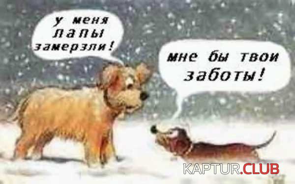 a59ce9de6e3564554b56ddec64402933_full.jpg | Рено Каптур Клуб Россия | Форум KAPTUR.SU