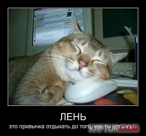 a5ebfc6cc4d8902c83a271ea821_prev.jpg | Рено Каптур Клуб Россия | Форум KAPTUR.SU