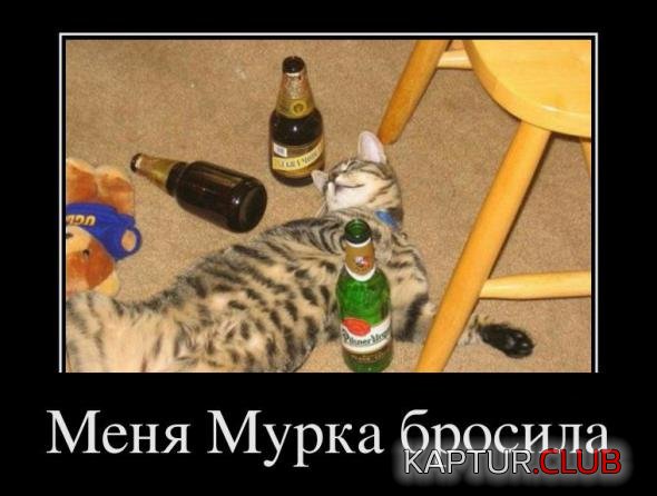 a617dc64ff87fbace3e9615956e_prev.jpg | Рено Каптур Клуб Россия | Форум KAPTUR.SU