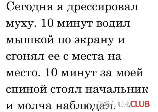 a63c7e92caaa65f8b0a63d01903.jpg | Рено Каптур Клуб Россия | Форум KAPTUR.SU