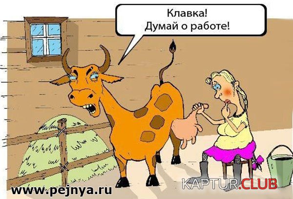 a645bbd056e4e670b1cf2bf18f0.jpg | Рено Каптур Клуб Россия | Форум KAPTUR.SU
