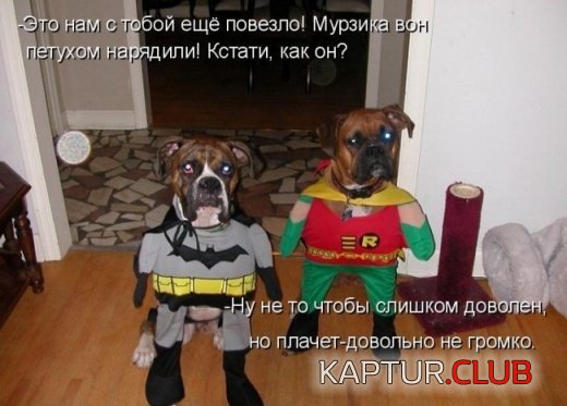 a64a751a29bfd23786ad6894fe67e282_full.jpg | Рено Каптур Клуб Россия | Форум KAPTUR.SU