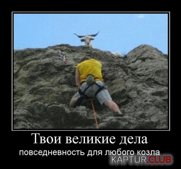 a66b7fc68ae73d551c81b5de54d_prev.jpg | Рено Каптур Клуб Россия | Форум KAPTUR.SU