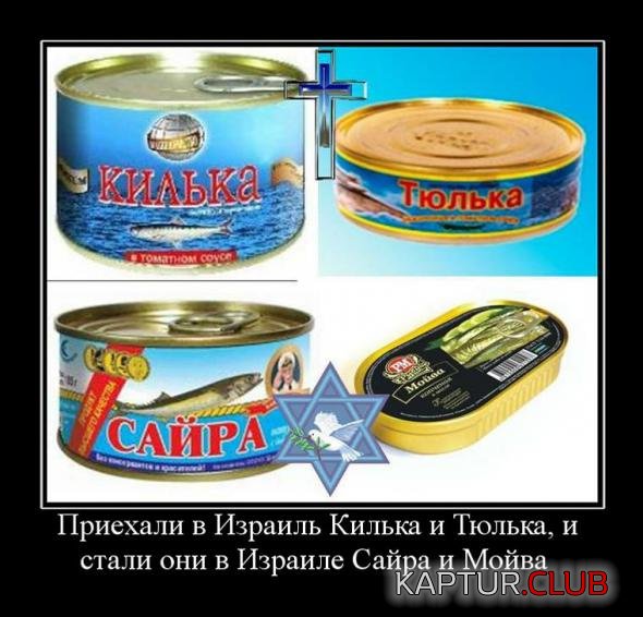 a68e111e11f6adef8fb5e266270_prev.jpg | Рено Каптур Клуб Россия | Форум KAPTUR.SU
