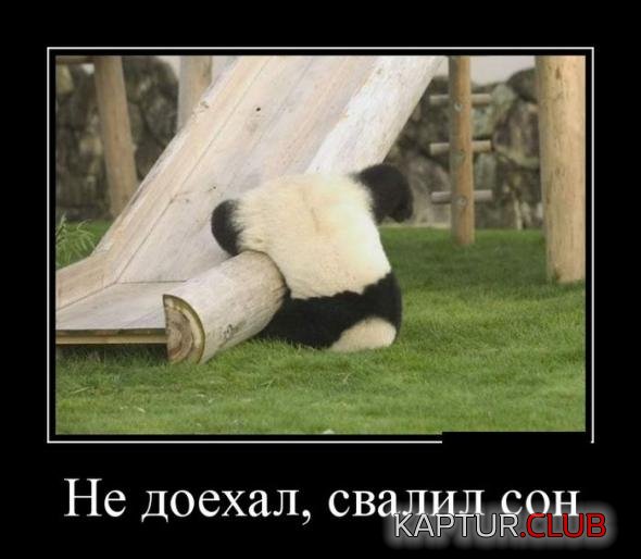 a75e2b61c6caca04f9a2e2ec877_prev.jpg | Рено Каптур Клуб Россия | Форум KAPTUR.SU