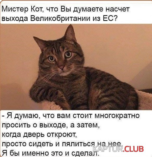 a77b71f3fe08cf454ab3684c4ef.jpg | Рено Каптур Клуб Россия | Форум KAPTUR.SU