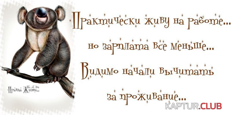 a7eaf45500f1b9ad73c7619671b.jpg | Рено Каптур Клуб Россия | Форум KAPTUR.SU