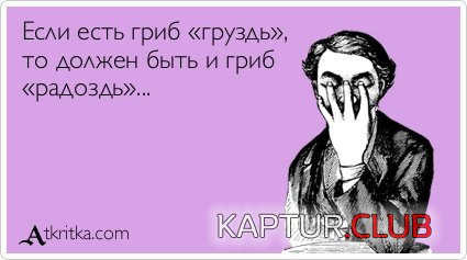 a8c79824d3435b245d841f130e3.jpg | Рено Каптур Клуб Россия | Форум KAPTUR.SU