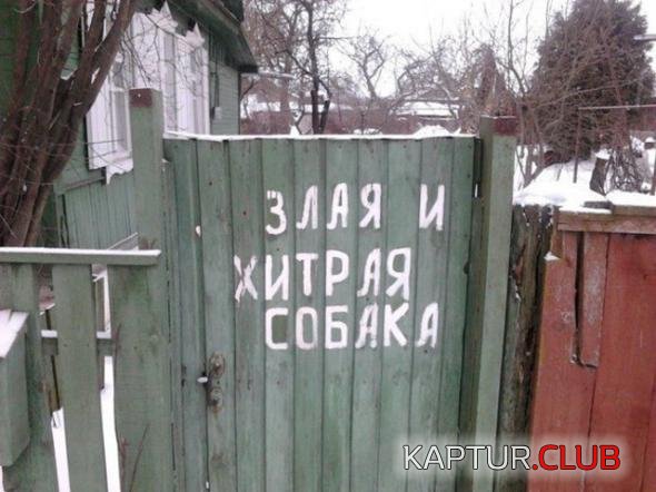 a99207d3e2b258ace7f416295b8_prev.jpg | Рено Каптур Клуб Россия | Форум KAPTUR.SU