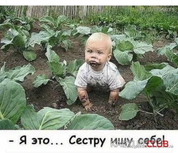 a9c135367624355fba593df7eb5.jpg | Рено Каптур Клуб Россия | Форум KAPTUR.SU