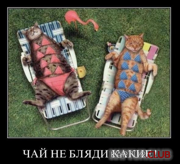 a9d8bf2589ba5ce8b35bb19372b_prev.jpg | Рено Каптур Клуб Россия | Форум KAPTUR.SU