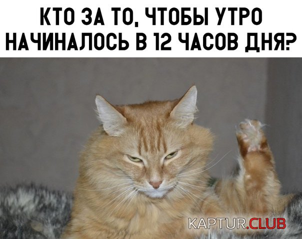 aa8ef7f0eaacadfa38d8732125c.jpg | Рено Каптур Клуб Россия | Форум KAPTUR.SU
