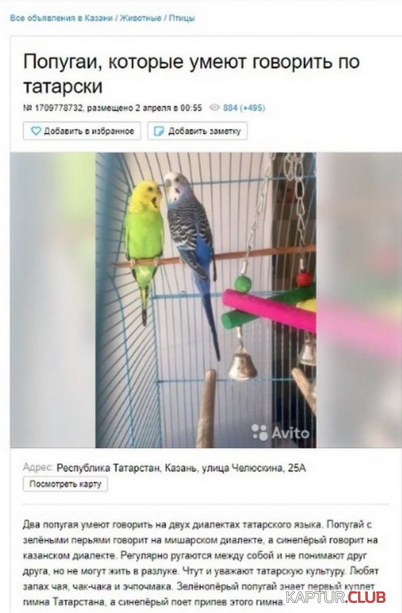 aaa.jpg | Рено Каптур Клуб Россия | Форум KAPTUR.SU