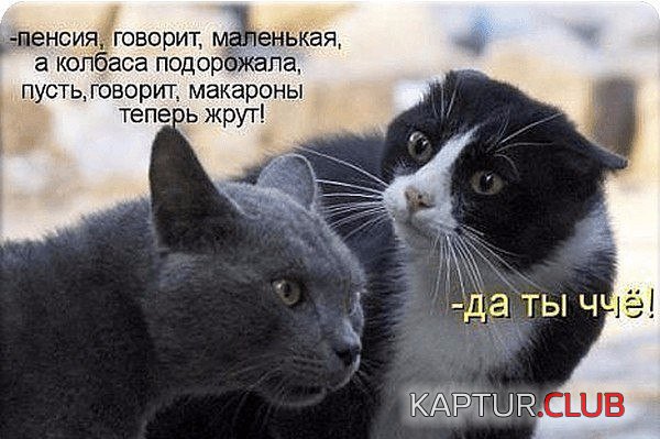 aaa0668b0551f573cb063feda3b.jpg | Рено Каптур Клуб Россия | Форум KAPTUR.SU