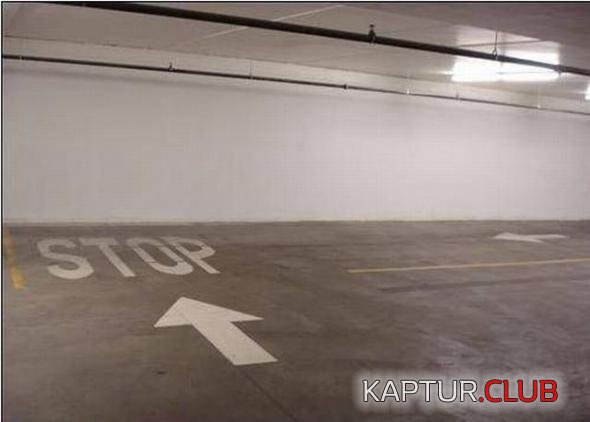 aaad50d39a4ddab71cce7595503_prev.jpg | Рено Каптур Клуб Россия | Форум KAPTUR.SU