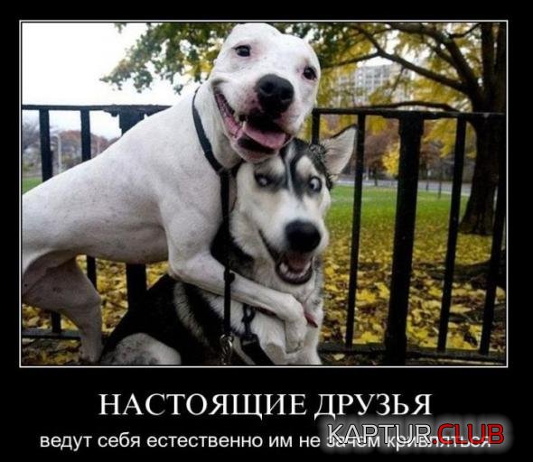 aaca908449fc40a711c5beb7387_prev.jpg | Рено Каптур Клуб Россия | Форум KAPTUR.SU