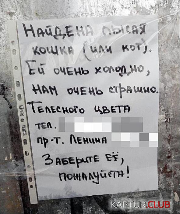 ab0f88a9c8dc8107b5a41326e14_prev.jpg | Рено Каптур Клуб Россия | Форум KAPTUR.SU