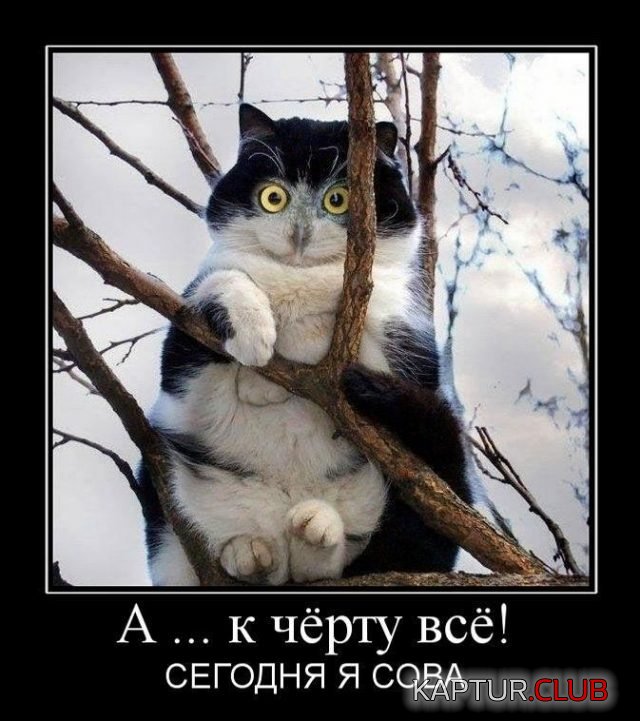 ab3240a3d0e95c230c77449e8cc.jpg | Рено Каптур Клуб Россия | Форум KAPTUR.SU