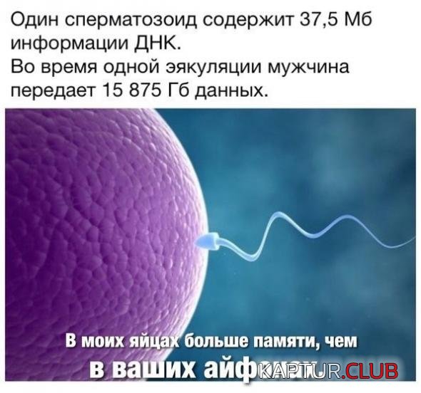 ab68d2f5f71b7fcba7fe57171ee_prev.jpg | Рено Каптур Клуб Россия | Форум KAPTUR.SU