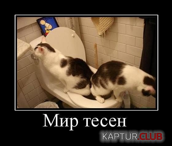 ac227e8abc3a336a953951d85c3.jpg | Рено Каптур Клуб Россия | Форум KAPTUR.SU