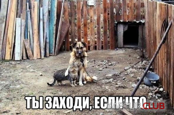 ac5f1ff98177c9a4f30a1af5efb_prev.jpg | Рено Каптур Клуб Россия | Форум KAPTUR.SU