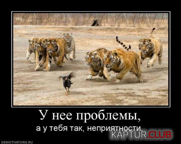 acbd577e0d6845da837cc535585_prev.jpg | Рено Каптур Клуб Россия | Форум KAPTUR.SU