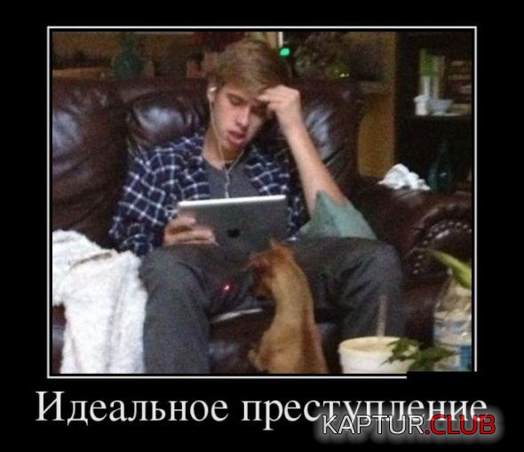 ace29e59da36355ba51719d5148_prev.jpg | Рено Каптур Клуб Россия | Форум KAPTUR.SU