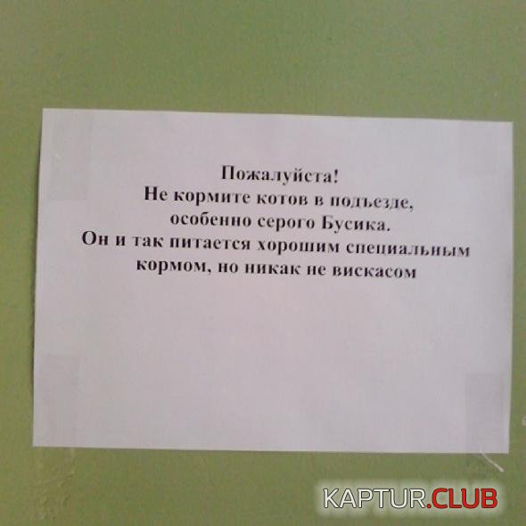 acef66e95bf70656481dc180895_prev.jpg | Рено Каптур Клуб Россия | Форум KAPTUR.SU