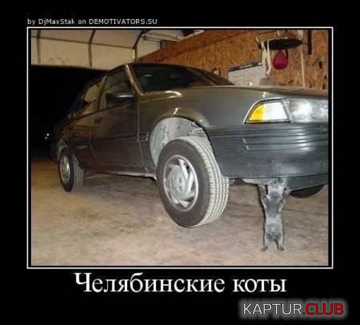 ad72f940ad2329195d18a5f2224.jpg | Рено Каптур Клуб Россия | Форум KAPTUR.SU