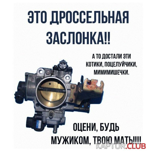 ad79a0d84ab03823fbc19dbd408.jpg | Рено Каптур Клуб Россия | Форум KAPTUR.SU