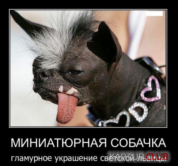 adc907bba95785d8452159f7678_prev.jpg | Рено Каптур Клуб Россия | Форум KAPTUR.SU