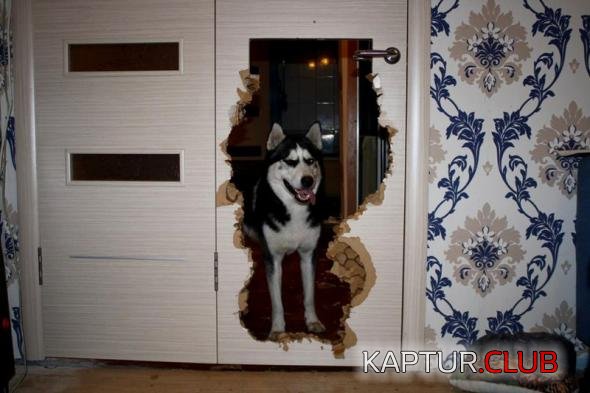 adeb390848334a1f141d717be87_prev.jpg | Рено Каптур Клуб Россия | Форум KAPTUR.SU