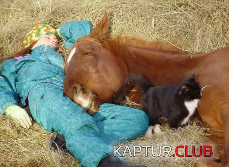 aeab6f8e888a74319d1907f9ab0.jpg | Рено Каптур Клуб Россия | Форум KAPTUR.SU