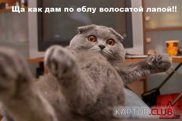 ahom-ru_animals_20050922_08_620x413.jpg | Рено Каптур Клуб Россия | Форум KAPTUR.SU