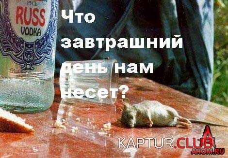 ahom-ru_animals_20050922_15_470x327.jpg | Рено Каптур Клуб Россия | Форум KAPTUR.SU
