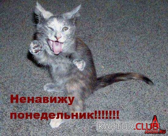 ahom-ru_animals_20050922_17_550x444.jpg | Рено Каптур Клуб Россия | Форум KAPTUR.SU