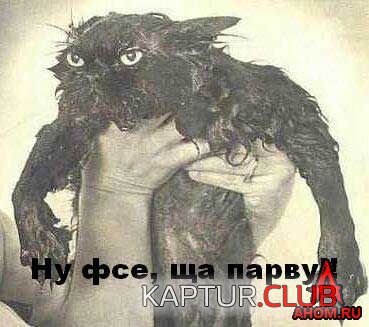 ahom-ru_animals_20050922_19_369x327.jpg | Рено Каптур Клуб Россия | Форум KAPTUR.SU