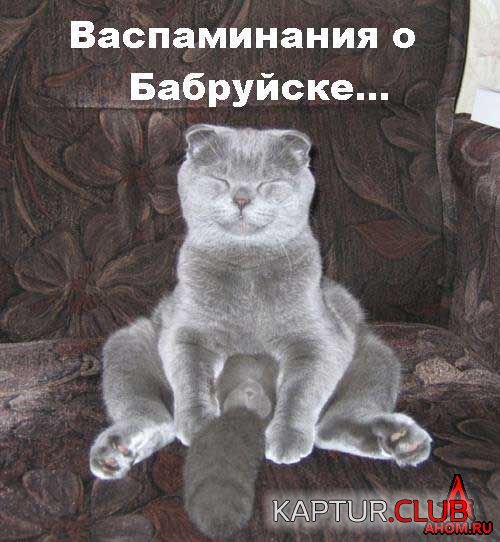 ahom-ru_animals_20050922_28_500x542.jpg | Рено Каптур Клуб Россия | Форум KAPTUR.SU