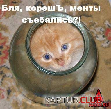 ahom-ru_animals_20050922_29_382x375.jpg | Рено Каптур Клуб Россия | Форум KAPTUR.SU