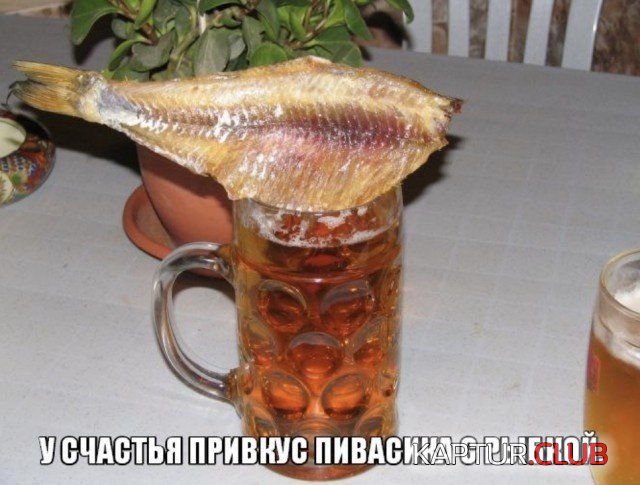 alkogol_03.jpg | Рено Каптур Клуб Россия | Форум KAPTUR.SU