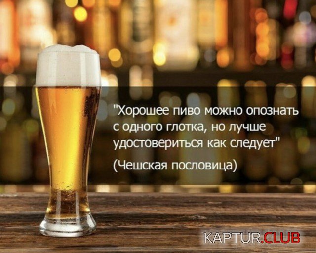alkogol_15.jpg | Рено Каптур Клуб Россия | Форум KAPTUR.SU