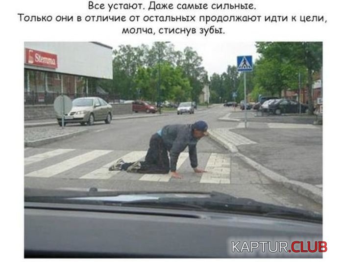 alkogol_prikoli_21.jpg | Рено Каптур Клуб Россия | Форум KAPTUR.SU