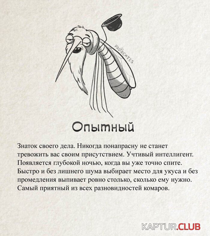 aQPl6orJxq0.jpg | Рено Каптур Клуб Россия | Форум KAPTUR.SU