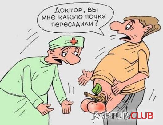 .archivetemp嵁_� 癄_燶k250118-2.jpg | Рено Каптур Клуб Россия | Форум KAPTUR.SU