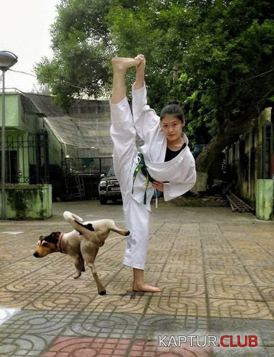 asia_02.jpg | Рено Каптур Клуб Россия | Форум KAPTUR.SU