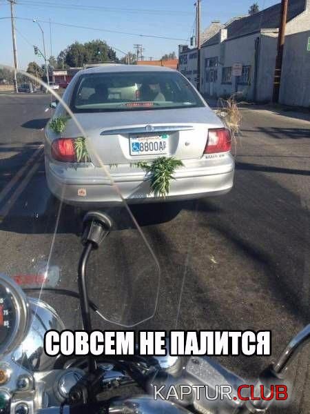 auto_prikoli_12.jpg | Рено Каптур Клуб Россия | Форум KAPTUR.SU