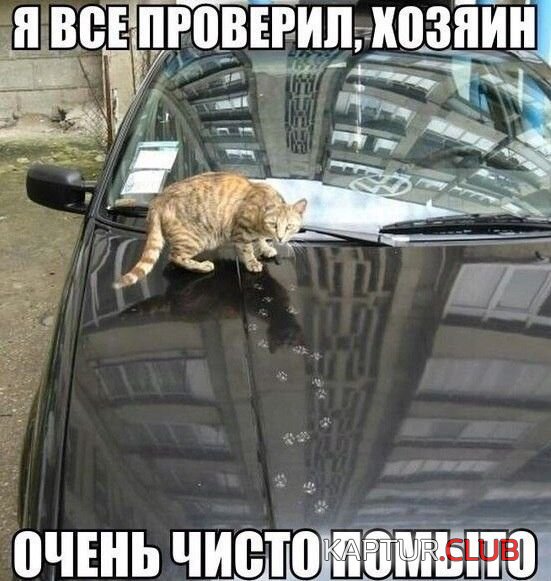 auto_prikoli_15.jpg | Рено Каптур Клуб Россия | Форум KAPTUR.SU